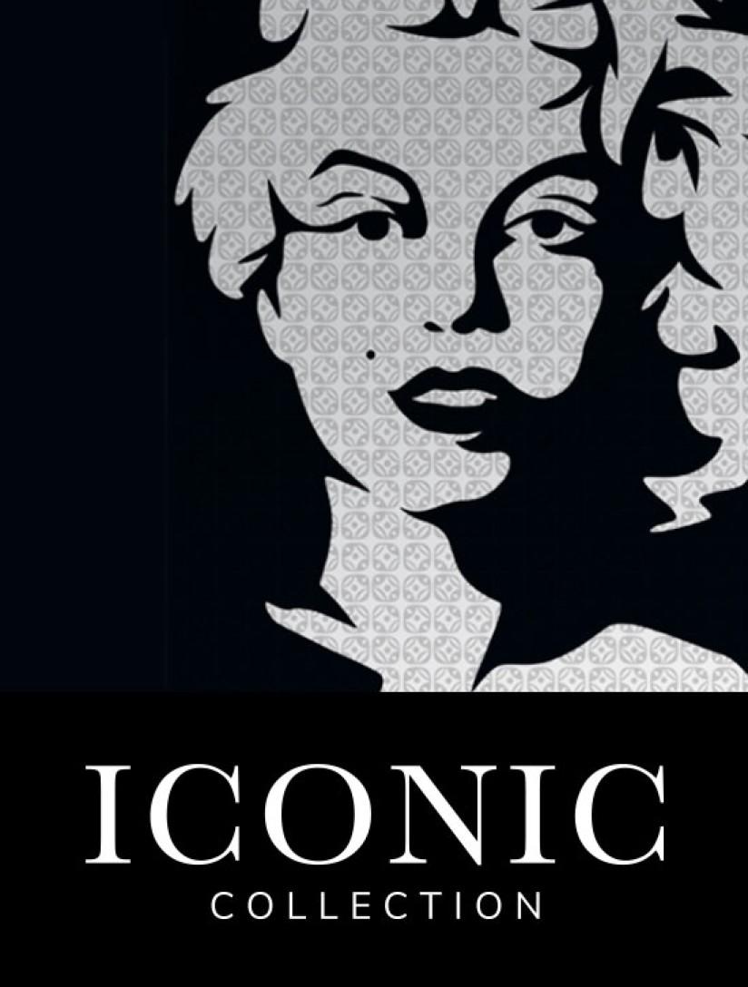 mojo-homes-iconic-collection-brochure-cover