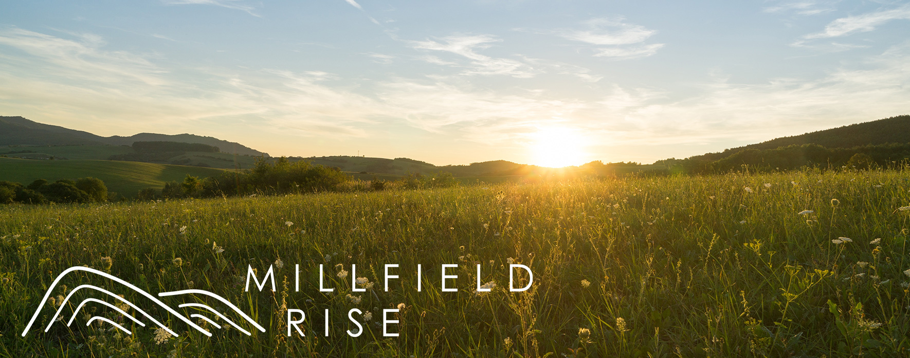 Millfield Rise