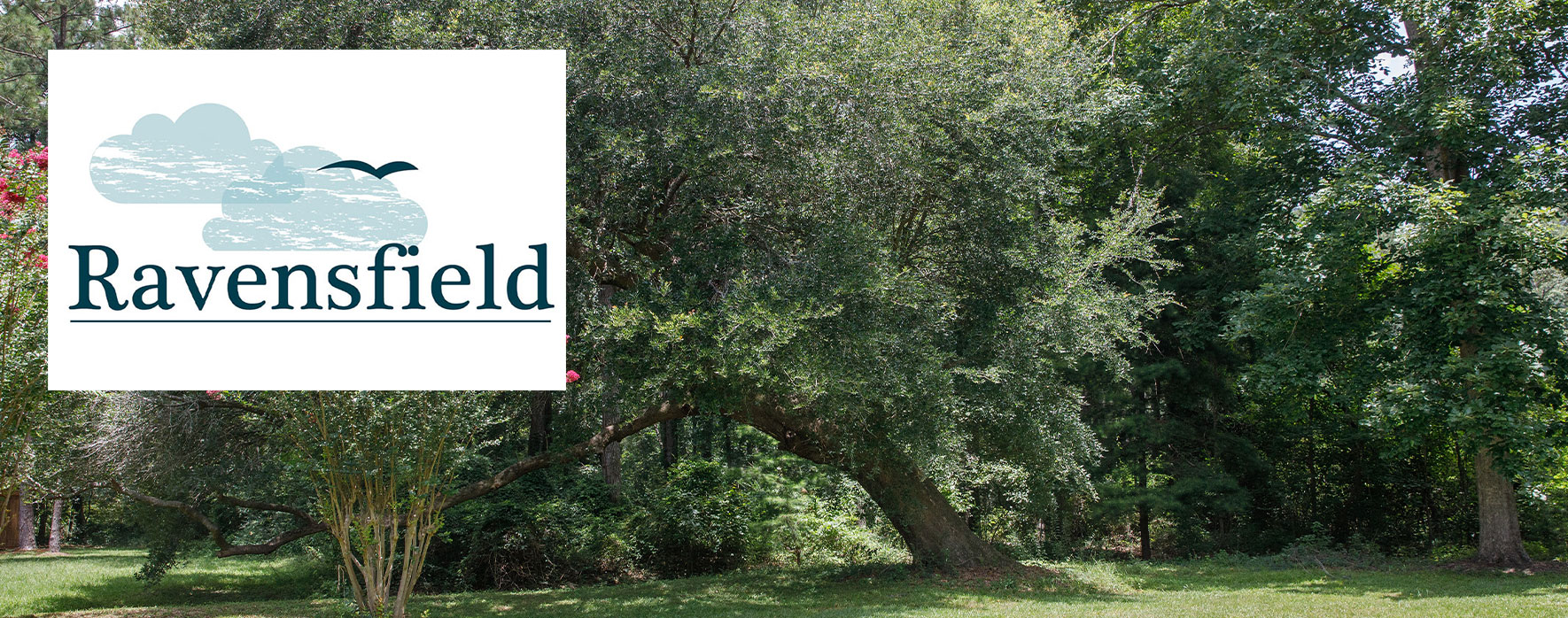 ravensfield-farley-estate-header ravensfield-farley-estate-header