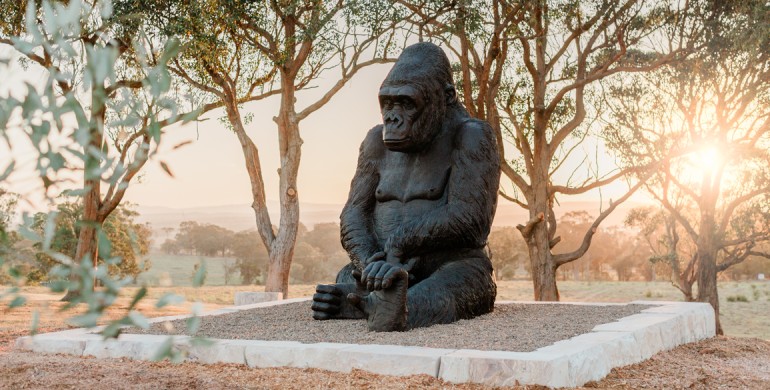 maitland house and land estate the loxford gorilla