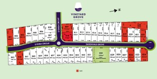 Vineyard Grove Lot Plan - October 2023