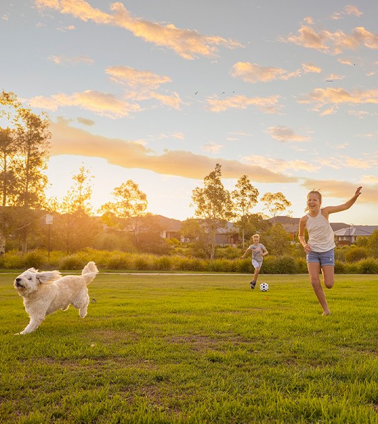 House and Land Packages Box Hill